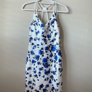 NWT Blue White Floral Dress